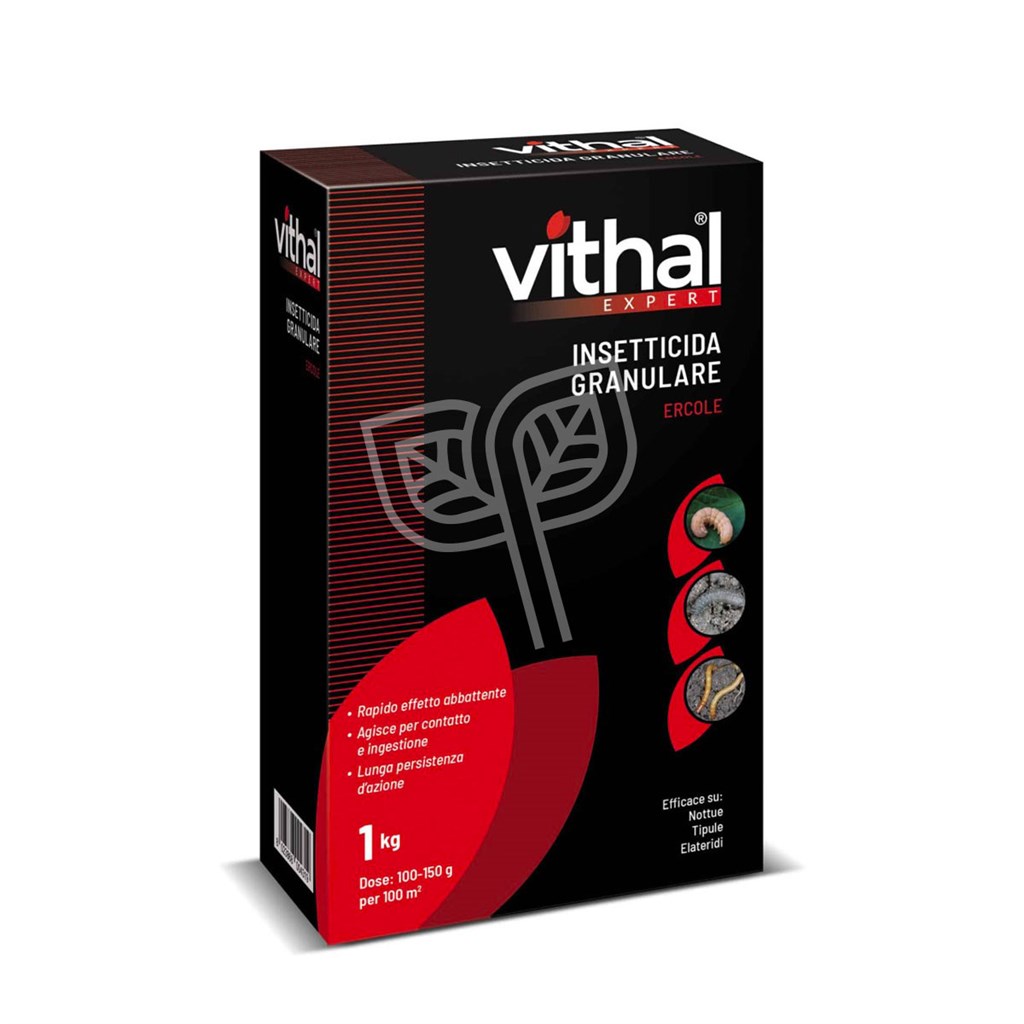 ERCOLE INS. GRAN. KG.1 ^